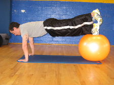 stability ball 1 leg plank