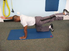 lower back exercises