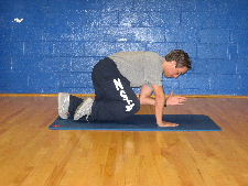 plank variation