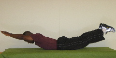 lower back exercises